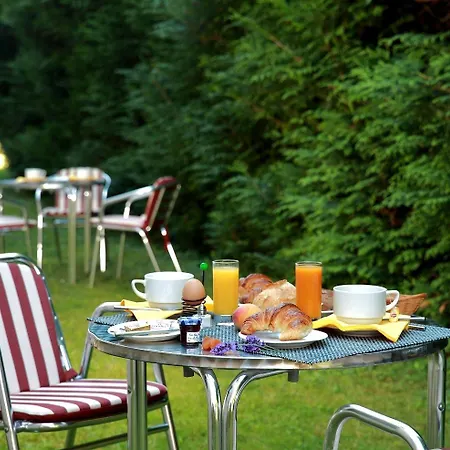 Logis Le Luth 2* Mirecourt