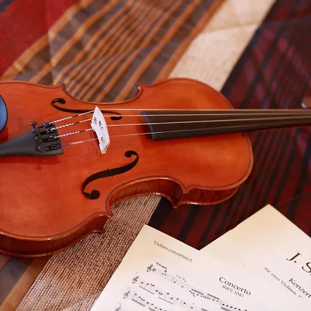 Logis Le Luth 2* Mirecourt