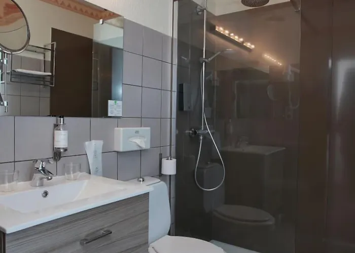 酒店 鲁斯之家酒店 2*